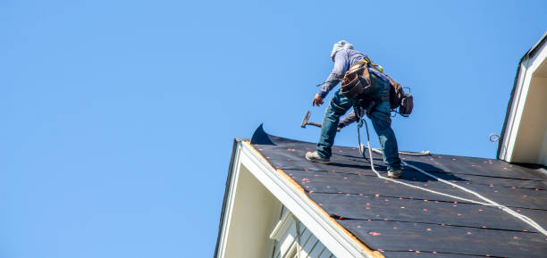 Best Residential Roof Replacement  in Sleepy Eye, MN